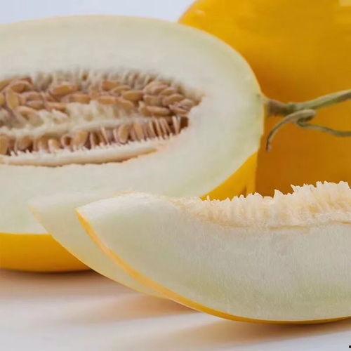 冰糖蜜瓜 宝宝吃,宝宝辅食的甜蜜选择