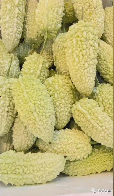 缠月吃瓜,揭秘娱乐圈的甜蜜与苦涩