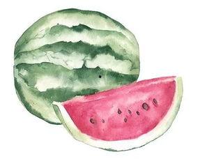 墨宝吃瓜,揭秘娱乐圈那些不为人知的幕后故事