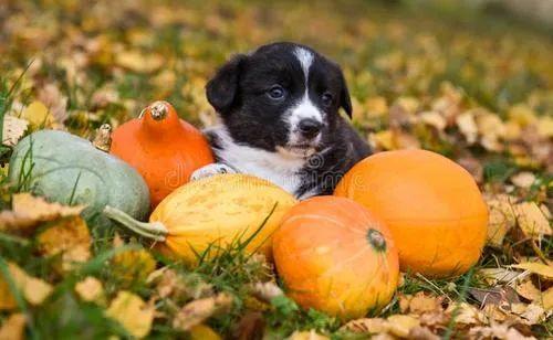 吃瓜宝子们,揭秘网络热点的幕后故事