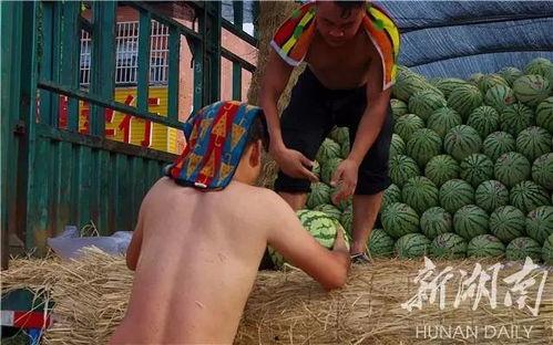 回家之后吃瓜,一场别开生面的“吃瓜”盛宴