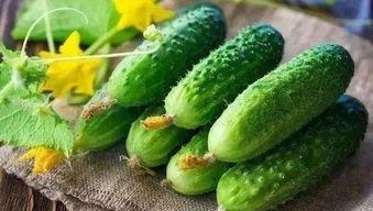 瓜神直播吃瓜,一场别开生面的吃瓜盛宴