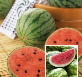 盘点喜欢吃瓜,盘点那些让人垂涎欲滴的美食瓜果