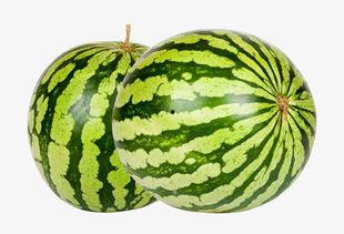 吃瓜直播大西瓜,大西瓜的甜蜜诱惑