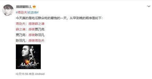 探长吃瓜日记四,揭秘神秘案件的背后真相