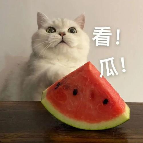 吃瓜泄漏,吃瓜泄漏背后的真相与内幕