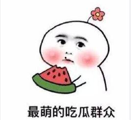 敬他妈的昨天 吃瓜,揭秘昨天娱乐圈的神秘事件