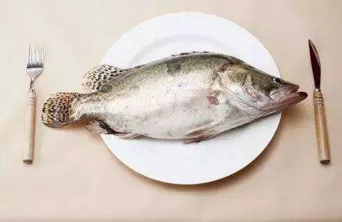 台湾吃瓜船捡鱼