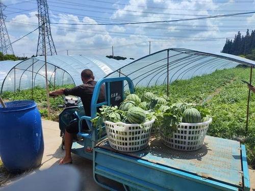 线下吃瓜馆,品味人间烟火，畅谈世间百态