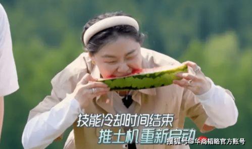 无悔华夏_吃瓜,吃瓜群众眼中的时代变迁