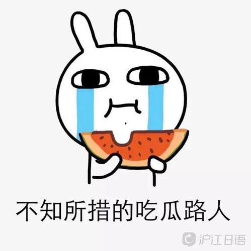 吃瓜 日文,吃瓜群众视角下的日本文化解读