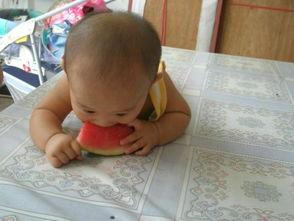 吃瓜快乐小物品,揭秘那些让人“吃瓜快乐”的小物件