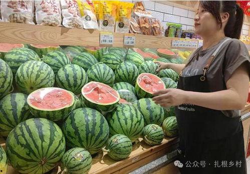哪里可以买瓜吃,揭秘各地买瓜胜地，尽享清凉美味之旅
