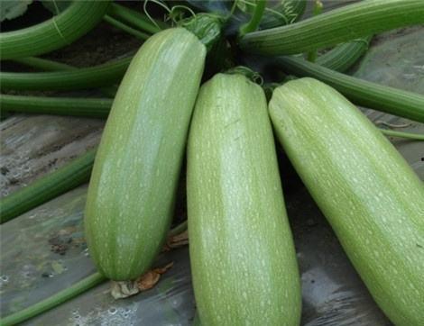 西帅吃瓜,揭秘娱乐圈幕后真相