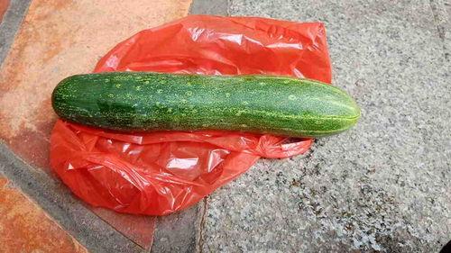 有啥瓜可以吃,盘点时令美味瓜类