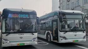 站车旁边吃瓜,夏日休闲新风尚