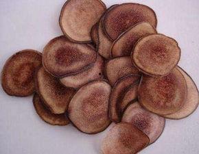 吃鹿茸片可以吃蒲瓜吗,食用搭配指南