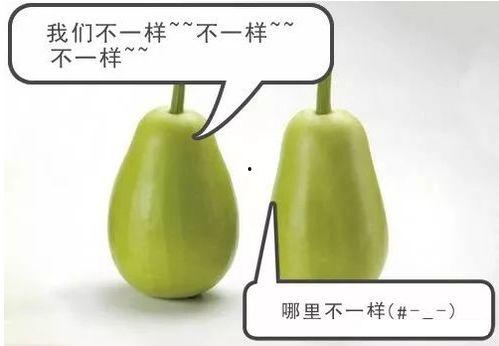 安院吃瓜,揭秘校园吃瓜背后的故事