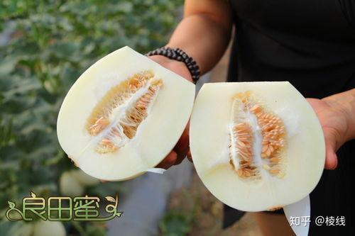 吃瓜雪梨,揭秘娱乐圈的甜蜜瓜果