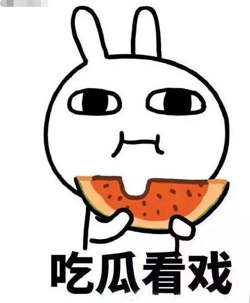 吃瓜自习室,揭秘吃瓜自习室的趣味与智慧