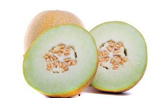 孕妇喜欢吃哈密瓜,哈密瓜的孕期美食之旅