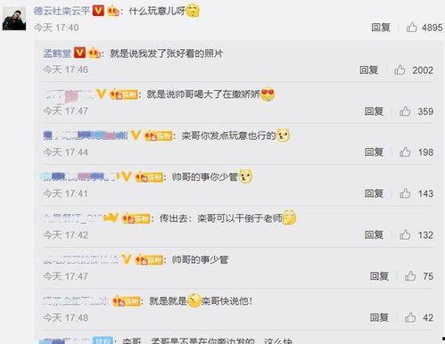 评论区吃瓜号,揭秘网络舆论背后的真相