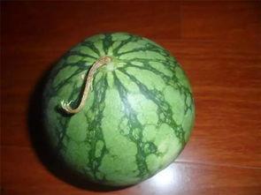 嘴挑人吃啥瓜,揭秘个性饮食背后的心理奥秘