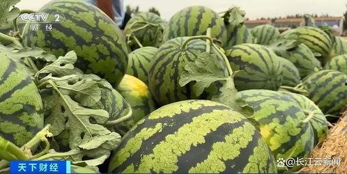 吃瓜全是瓜,网络热词背后的文化现象