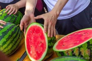 余宝吃瓜,揭秘娱乐圈背后的那些事儿