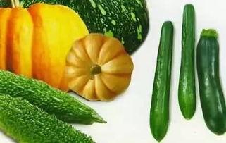 夏天吃瓜还是吃果好吃呢,瓜果争霸，谁才是夏日最佳选择？