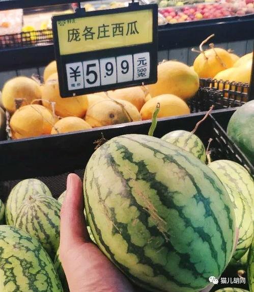 京城朝堂吃瓜,宫廷八卦，吃瓜群众的热议焦点