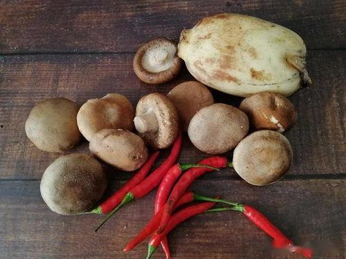 香菇吃瓜,探寻美味佳肴的无限可能