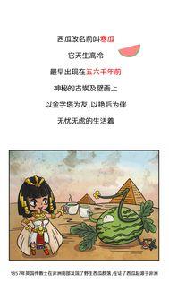 吃瓜盟主历史低谷,从历史低谷到辉煌崛起的传奇历程