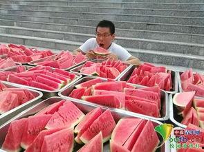 广艺学校吃瓜,揭秘校园里的“瓜田”风云