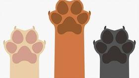 吃瓜凑热闹素材