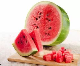 广州九尾吃瓜,揭秘网红美食背后的故事