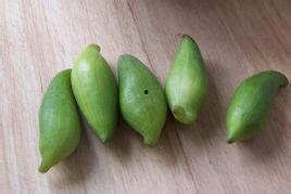 小雀瓜咋吃,解锁美味新体验