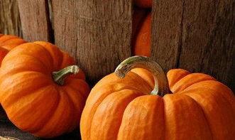 吃瓜反酸,揭秘网络热议背后的酸味现象