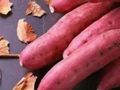 吃瓜蜜薯,吃瓜蜜薯，甜蜜与清新并存的美味探索