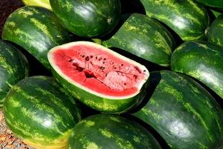 最新最全吃瓜51,揭秘娱乐圈最新最全的八卦风云